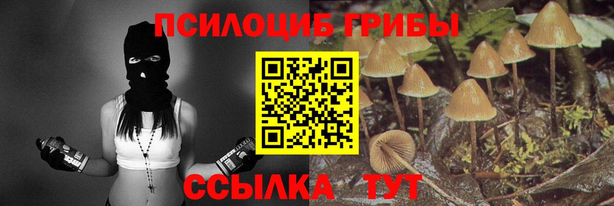 Галлюциногенные грибы Psilocybine cubensis  Псилоцибиновые грибы ЛСД  Светлоград  дарнет шоп  Вход с VPN 